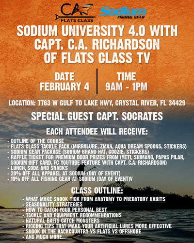 Sodium University 4.0 Ticket
